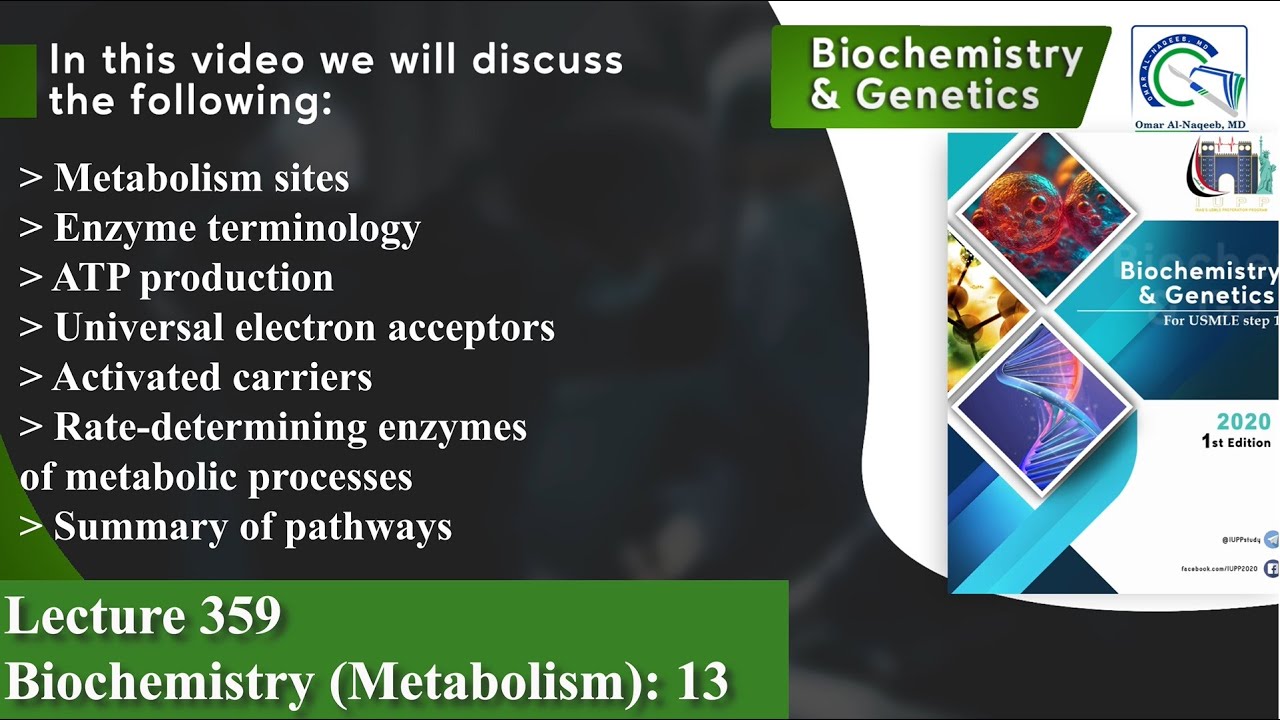 Metabolism sites | Enzyme terminology | ATP production | Rate-determining enzymes