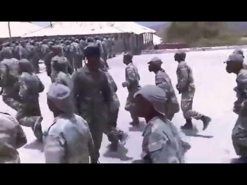 Fuzileiros Navais 1/18