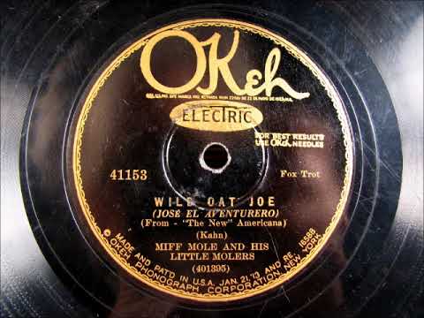 WILD OAT JOE by Miff Mole and his Little Molers 1928