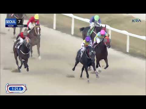 (Seoul) 2022.10.29 R7