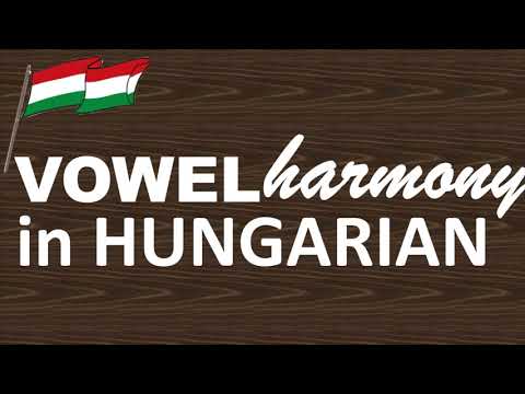 Vowel Harmony in Hungarian | Hungarian for Beginners