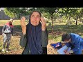 Operator Grandma S Rescue Mission