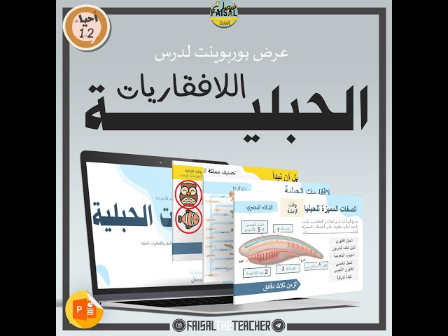 عرض درس اللافقاريات الحبلية