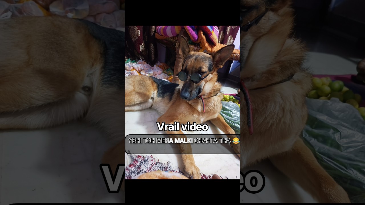 new video subscribe krne ko banye h #shorts #video #vrails @OfficialrakhiKumari-q7w