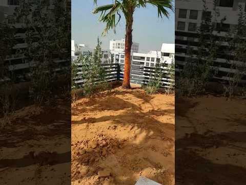 صورة مصغرة لفيديو العقار