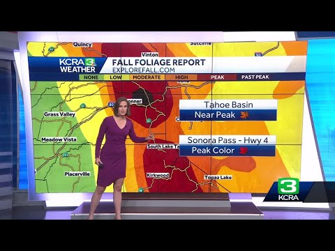 Northern California fall foliage: Peak colors, as of Oct. 13