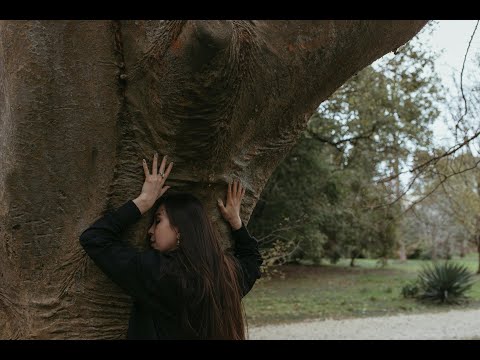 Qui Se Souviendra ("Who Will Remember")