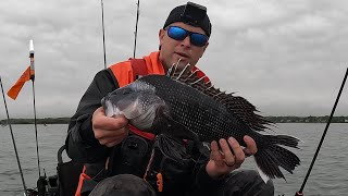Fishing Among The Crowds But Crushed Em