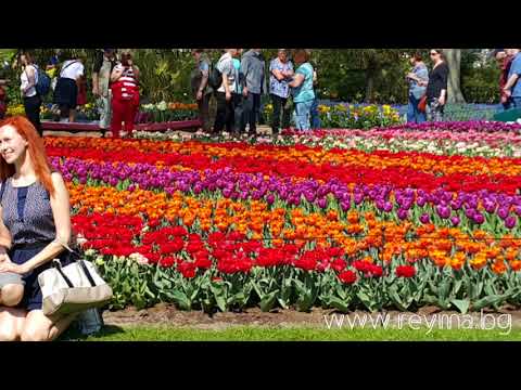 Keukenhof 2018