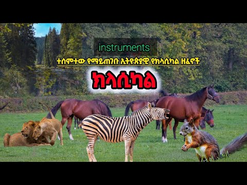 🔴 ምርጥ አዳዲስ ኢትዮጵያዊ የክላሲካል ዘፈኖች Ethiopian Instrumental music/Classical/ Dan Ab ዳን አብ