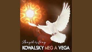 Music video thumbnail preview for Holnapelőtt by Kowalsky meg a Vega