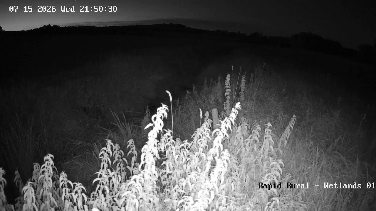 Live webcam view of Waddesdon Eythrope Wetlands
