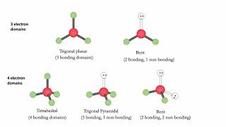 (b) An AB4 molecule has two lone pairs of electrons on the A atom ...