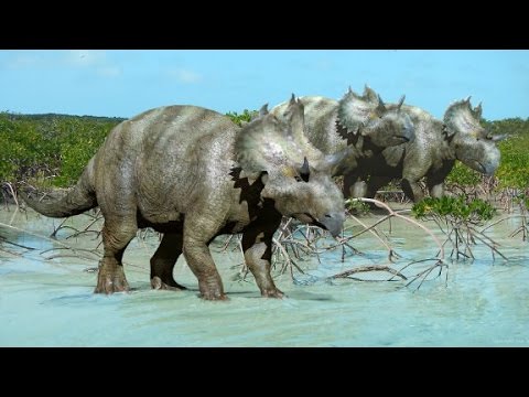 Arab Today- New horned face dinosaur species found