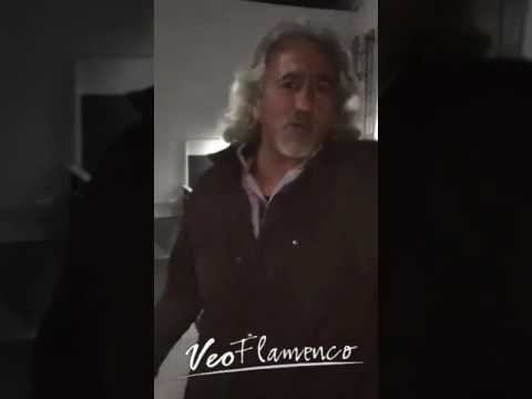 Capullo de Jerez le canta a su equipo Real Madrid  | VEOFLAMENCO