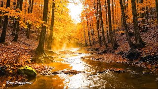 Beautiful Autumn Relaxing Music 🍁 Gentle Tunes to Calm the Soul, Stop Overthinking & Relieve Stress