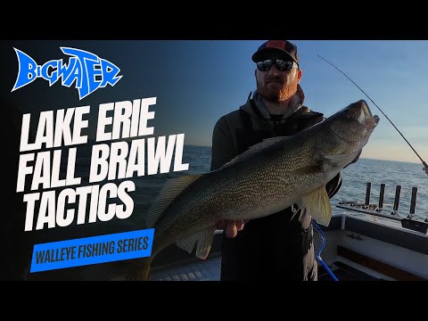 Lake Erie Fall Brawl and Walleye Slam Tactics