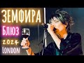 ЗЕМФИРА - БЛЮЗ 2024 (Лондон, 13.11)