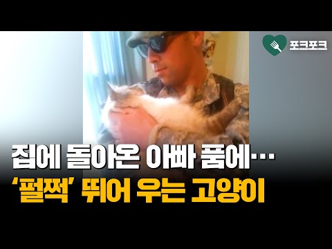 아이콘