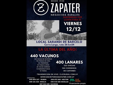 12/12/2025 Feria Mensual - Local Sarandi de Barceló -  Escritorio Zapater