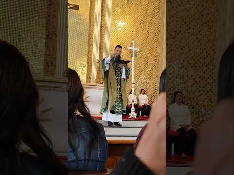 Homilia Padre Cláudio Francisco 10/11/2024