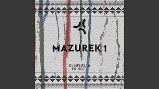 Confusion Project – nowa jakość w muzyce elektronicznej