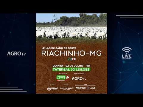 UNAÍ LEILÕES - RIACHINHO MG - 02/07/2026