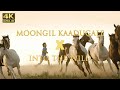 Moongil Kaadugale Meets Into The Wild Kd Mediaworks 4K