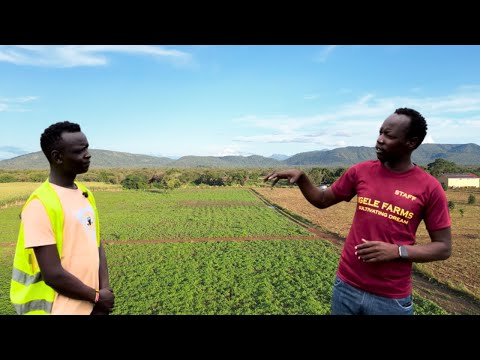 How He Left America And Now Owns 2000 Acres Farm In South Sudan