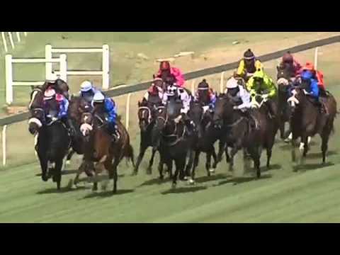 2015.10.31 Bloodstock SA Ready To Run Cup (RSA) - Lineker