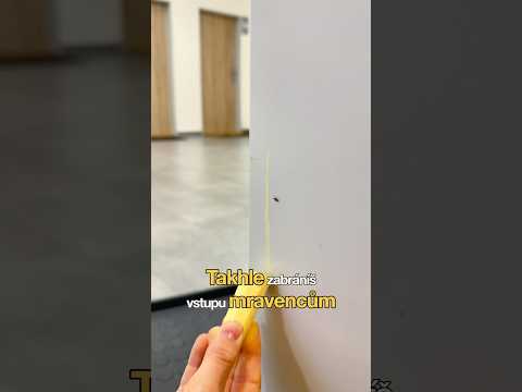 Jak se zbavit mravenců ❌🐜