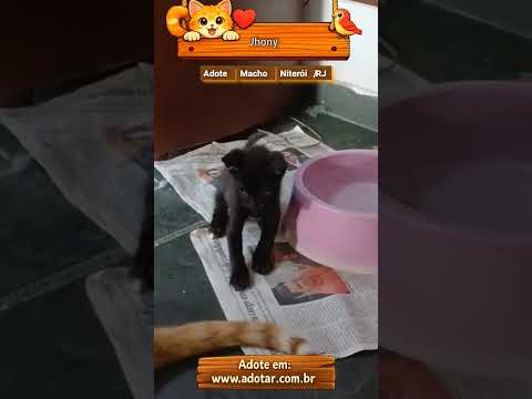 Vídeo de Jhony