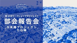 Areia de Todos por SHIRO