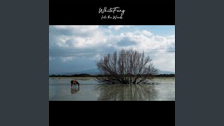 The Centenary Tree as the Oak Above Us