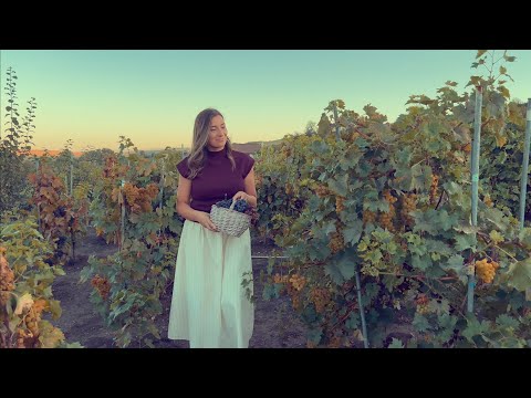 Doamne, Tu … /IMN/ - Andreea Mois