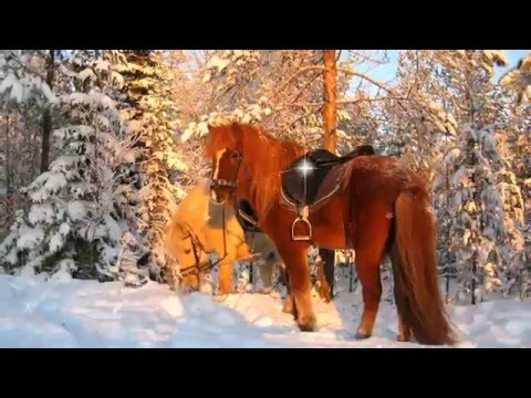 Sniega melodija. Santa Kasparsone.