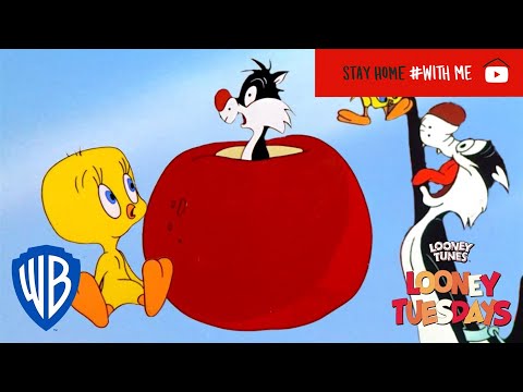 Looney Tuesdays | Iconic Duo: Tweety and Sylvester | Looney Tunes | WB Kids
