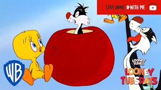 Looney Tuesdays  Iconic Duo: Tweety and Sylvester 