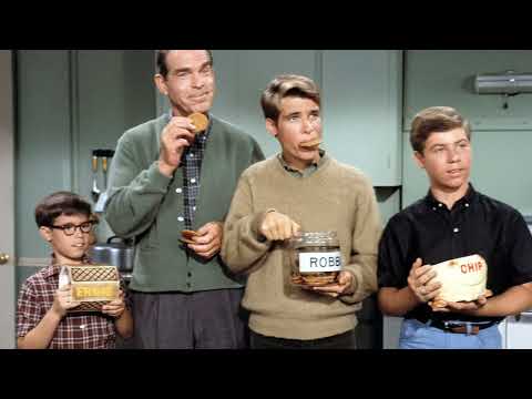 Don Grady Was A Trouble Maker Until "My Three Sons" Changed His Attitude