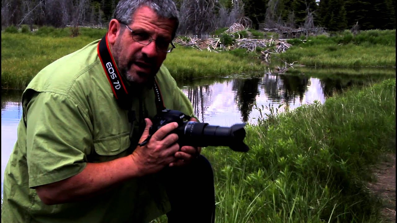 Объектив Tamron AF 16-300mm F/3.5-6.3 Di II VC PZD Macro Nikon F