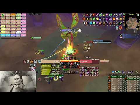 #1 World DPS -SPEED Princess Huhuran | World of Warcraft Anniversary Fury Warrior