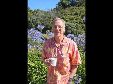 The Universe from a Single Particle by Michael Freedman