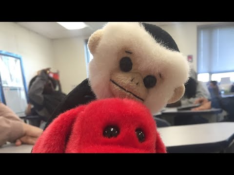 Bella, Wolfine||mmv||TOXIC Mexican love||Gay🏳️‍🌈🏳️‍🌈