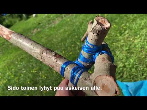 Leirikoti - seikkailijat