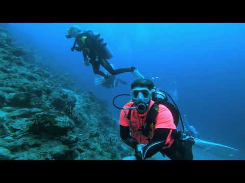 Epic Deep Dive at La Plage Resort in Jeddah Saudi Arabia