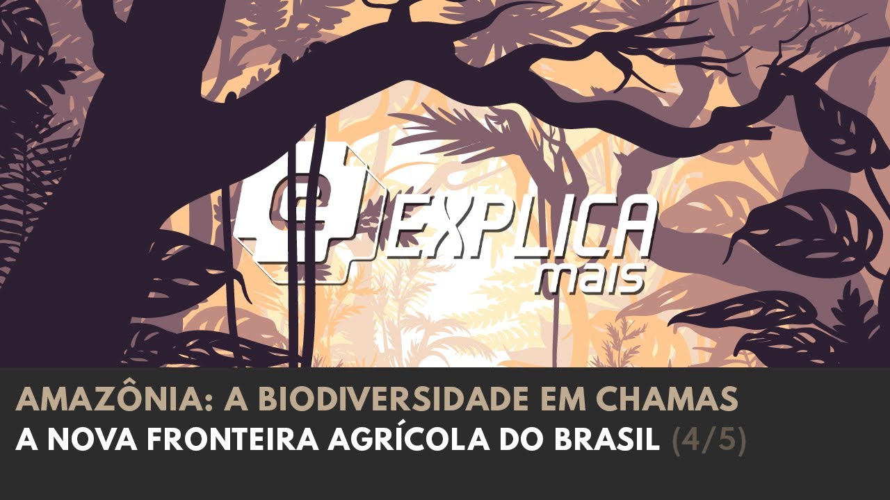 Geografia - A nova fronteira agrícola do Brasil
