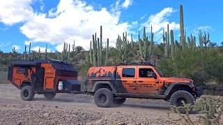 OVERLANDING ARIZONA: The hunt for the Crested Saguaro Cactus
