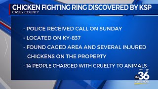 Chicken fighting ring discovered by KSP in Casey County