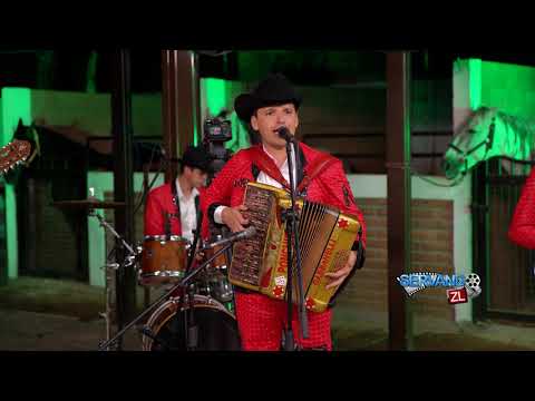 Alfonso Payan y Asociados - El Pecas (En Vivo 2020)