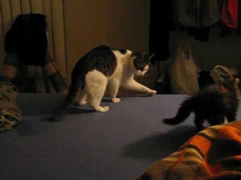2007-08-04 Ameerah playing with baby Rowena on bed #3